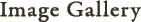 Image Gallery